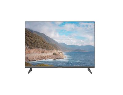 24DL2000F 24'' HD T2/S2 220AC/12V DC