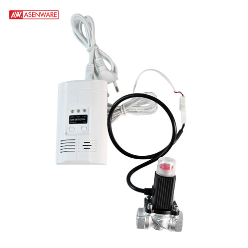 Asenware AW-CGD2166 Bağımsız Gaz Dedektörü